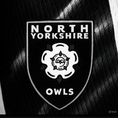 North Yorkshire Owls